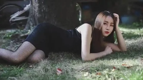 英伟达H200对华解禁