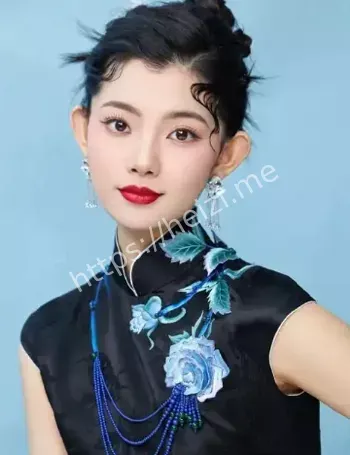 赵娜环球小姐中国冠军